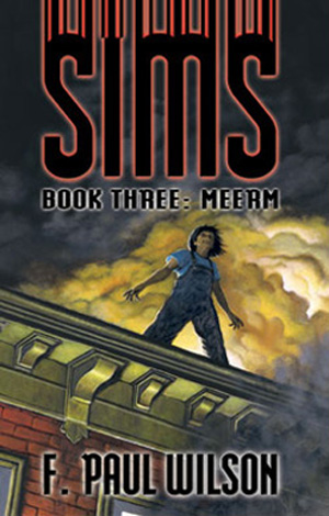Sims (Book 3: Meerm)