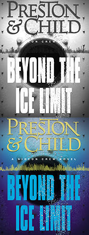 Beyond the Ice Limit